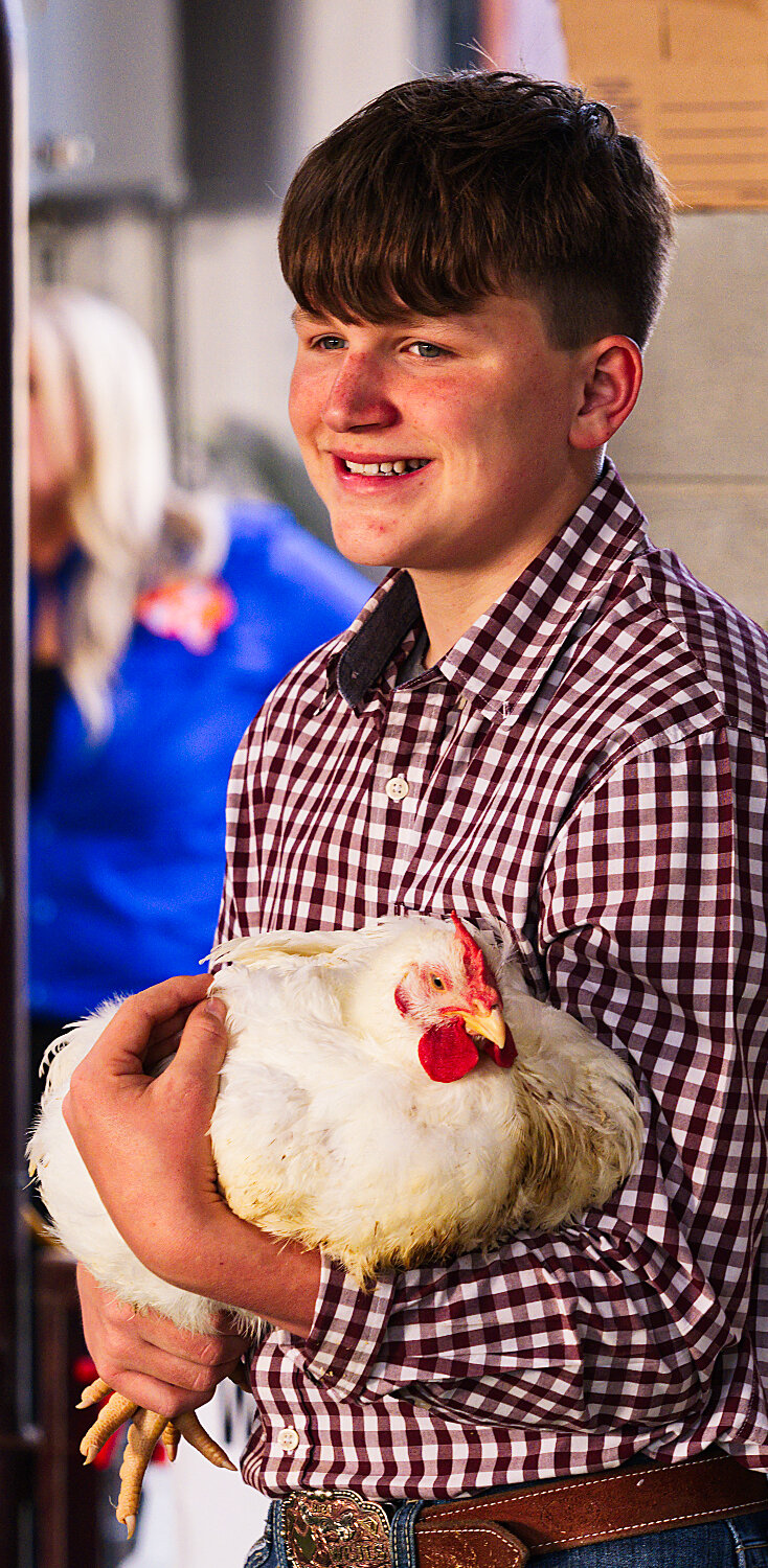 The reserve champion broilers of Luke Goforth of Alba-Golden FFA went for $3,000. [see some more sale images]